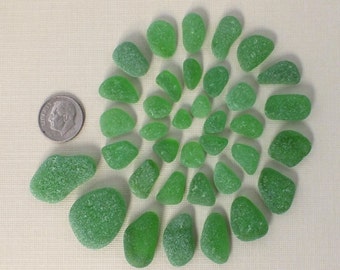 36 Assorted Pcs Genuine GREEN Beach Gathered Sea Glass for Jewelry Making, FLAWLESS