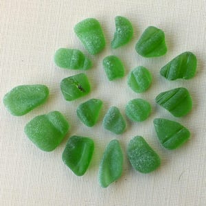 May include: A collection of green sea glass pieces arranged in a spiral pattern on a white fabric background.
