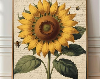 Vintage solros botaniskt tryck, Cottagecore blommig väggkonst