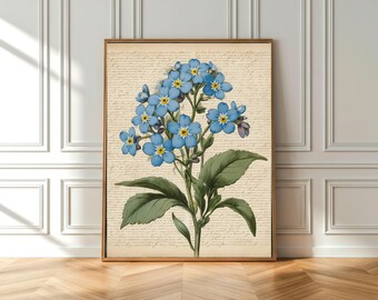 Forget-Me-Not Vintage Botanical Canvas Wall Art | Cottagecore Home Decor