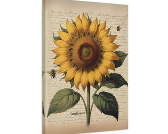 Impresión botánica vintage de girasoles, arte floral de pared estilo cottagecore