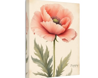 Mohnblume botanische Kunstdruck | Vintage Blumen Illustration, Cottagecore Garten-Wand-Dekor