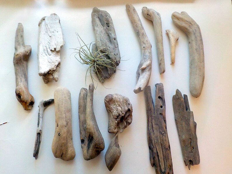 Fourteen Driftwood Wood Pieces Canadian Freshwater Driftwood Etsy
