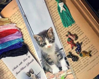 Laminated Lonesome Gershwin the Kitty Cat Baby Kitten Feline Photo Bookmark w/ Cloisonne Fish Bead