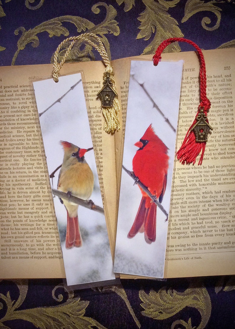 Set of 2 Snowy Cardinal Male & Female Red Birds Winter Early Spring Photo Bookmark w/ Antique Bronze Birdhouse Charm image 1