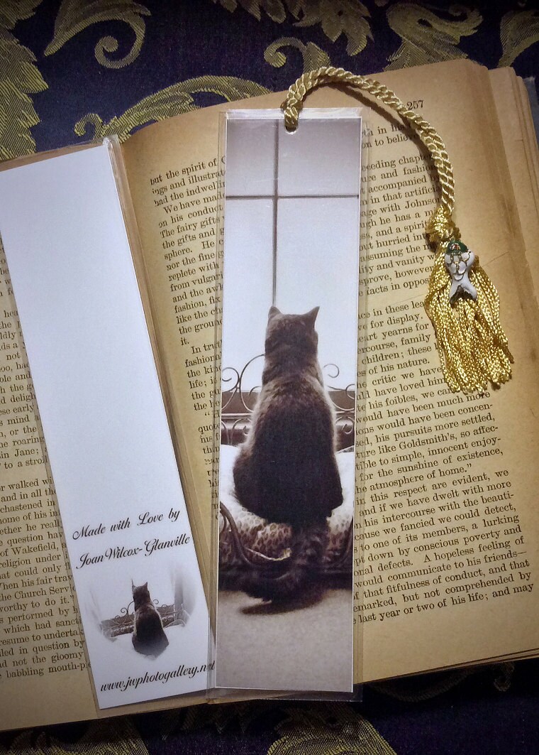 Laminated Sepia Tone Kitty Cat KittenWaiting Patiently in Etsy