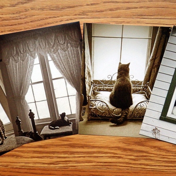 Postcards Cute Window Kitty Cats Kittens Art Photo Post Cards Stationery