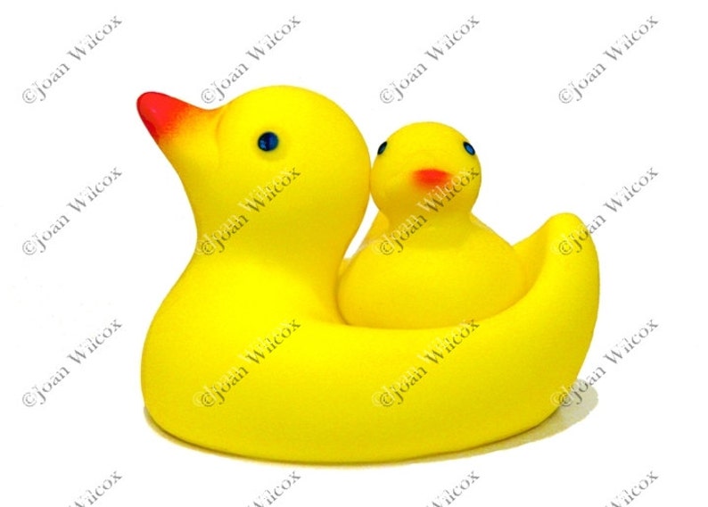 Cute Rubber Ducky Photo Colorful Bird Child's Toy Original Fine Art Photography Print image 1
