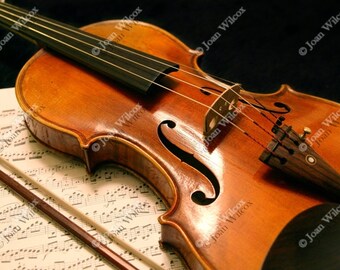 Violin Concerto Music Classical Instrument Original Fine Art Photography Photo Print