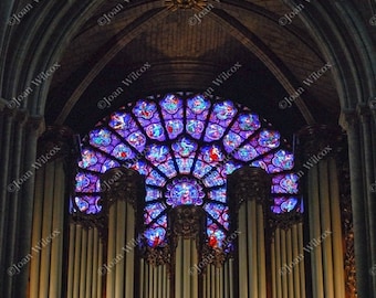 Interior Notre Dame Cathedral Rose Window & Pipe Organ Paris France Religious Catholic Fine Art Original Photo Print