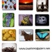 see more listings in the PHOTO MAGNETS, MOUSEPADS section