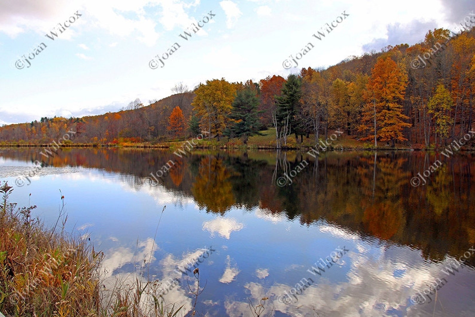 Scenic Autumn Fall Foliage Blue Sky Pond Reflections Fine Art