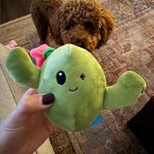 2-in-1 Plush Cactus Dog Toy With Hidden Surprise | Large Squeaky  Interactive Dog Toy for Puppies and Dogs | Rip and Reveal Chew Toy - Etsy