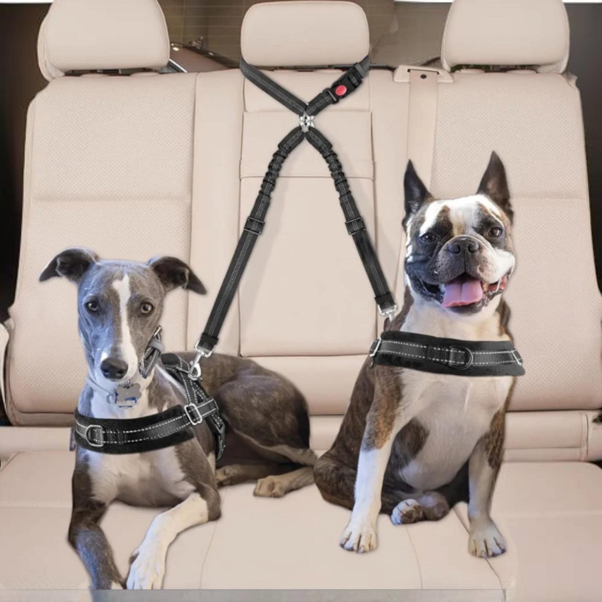 Double Dog Seat Belt for Car – Tangle-free Pet Headrest Restraint Leash –  Adjustable Harness Splitter for Two Dogs Vehicle Travel (black) - Etsy