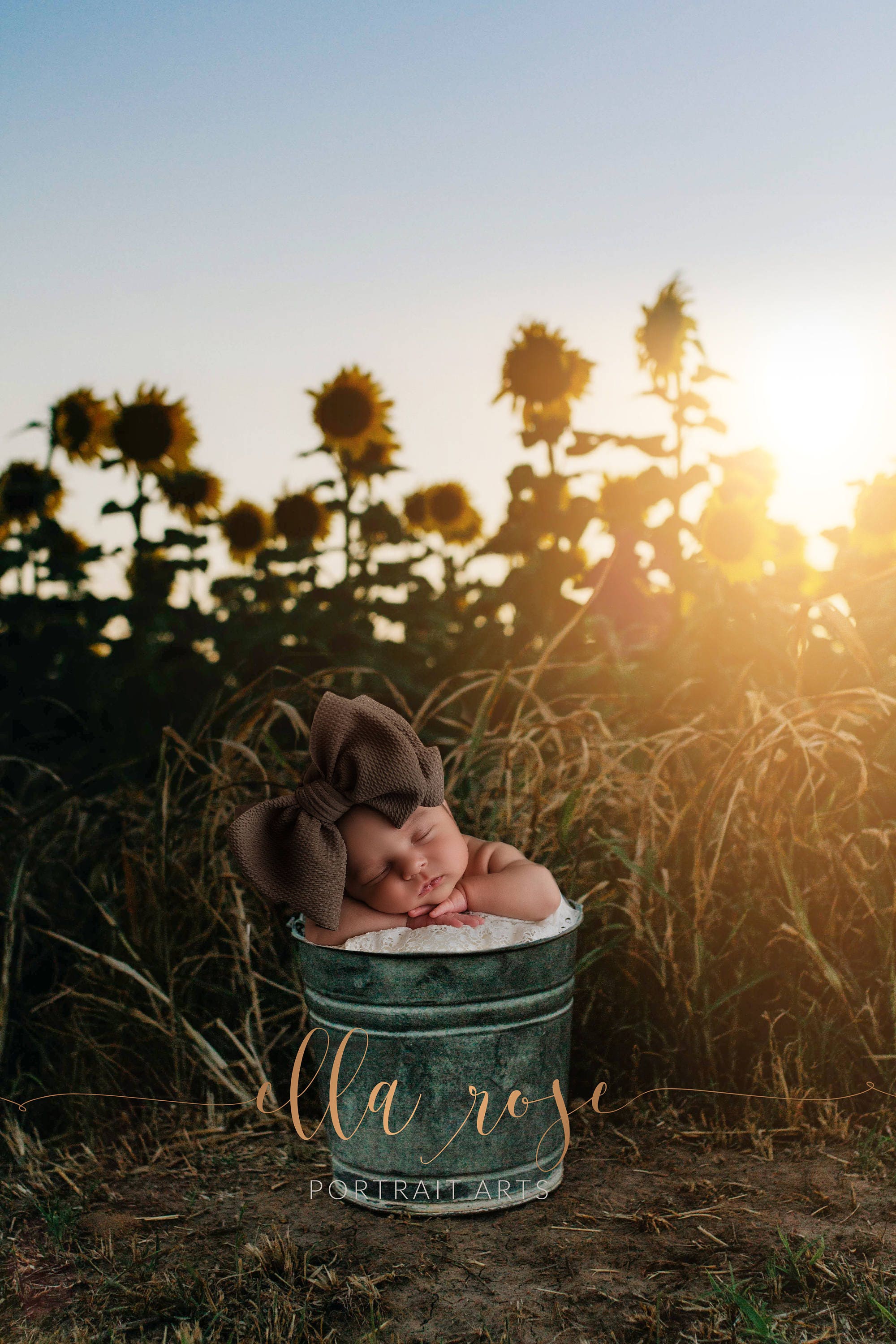 Sunflower field Newborn Digital Background | Etsy