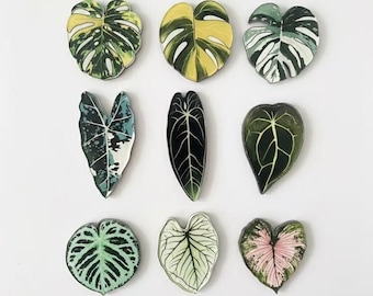 SAMPLE SALE: Nature's Palette - Botanical leaf magnets | Green plants magnets | Monstera leaf magnets | Alocasia leaf magnets