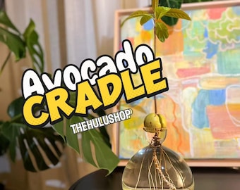 Avocado Cradle: Avocado Hydroponic Vase | Hand Blown Clear Glass Vase for Avocados | Propagation Vase for Avocado Seed