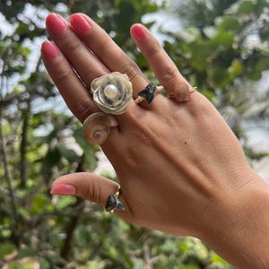 SHARK TOOTH RINGS