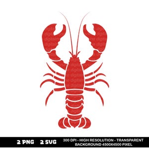 Lobster SVG, PNG - Lobster Svg,  Lobster Cut Files | Sea Animal Vector | Lobster Silhouette SVG,  files for cricut, svg cricut,