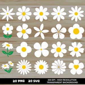 Blume PNG, SVG, Gänseblümchen Svg Bundle svg, png - Blumen-Svg-Dateien für Cricut, Clipart Cut-Dateien für Cricut Cameo, Vektor-Cutfile, Frühling Sommer