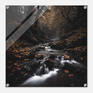 Nature pictures on high-quality acrylic glass