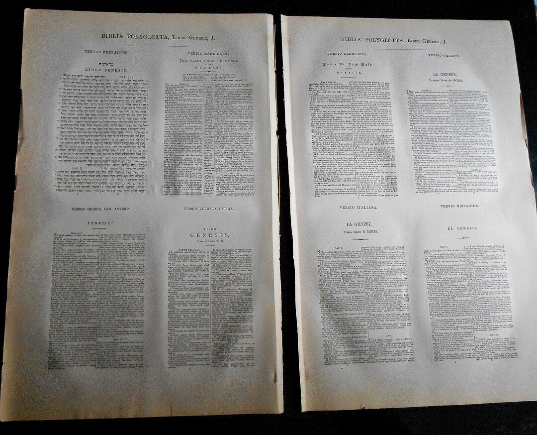 Eight Language Bible Leaf, Double Page Antique Polyglot Bible Leaves ...