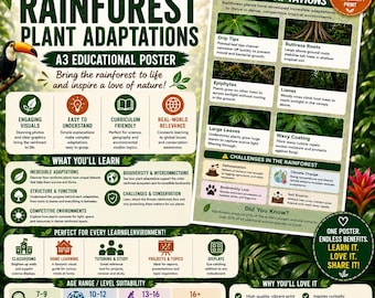 Rainforest Plant Adaptations Photo Infographic | Real Photography Poster | Homeschool Science Print | A4 & A3 | Digital Download