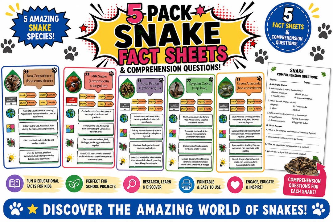 Snake Fact File KS2 | Reptile Worksheets & Animal Information - Etsy