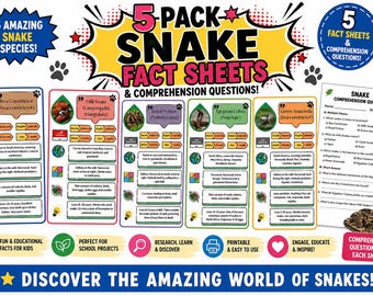 Snake Fact Files | 5 Reptile Species Research Pack (Printable PDF)