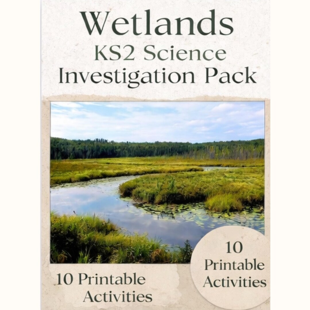Wetlands KS2 Science Worksheets | Wetland Habitat Investigation Pack