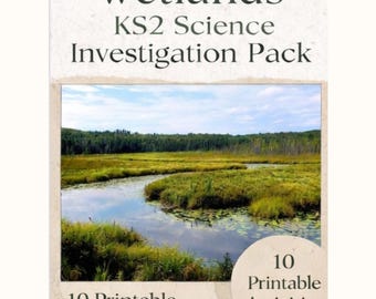 Wetlands Habitat Activity Pack | Food Webs Adaptations & Conservation Worksheets | Home Education Science | Ages 7-11