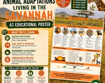Savannah Animals Poster A3 Printable | Animal Adaptations Science | Homeschool Nature Wall Art | Lion Giraffe Zebra Print | Digital Download