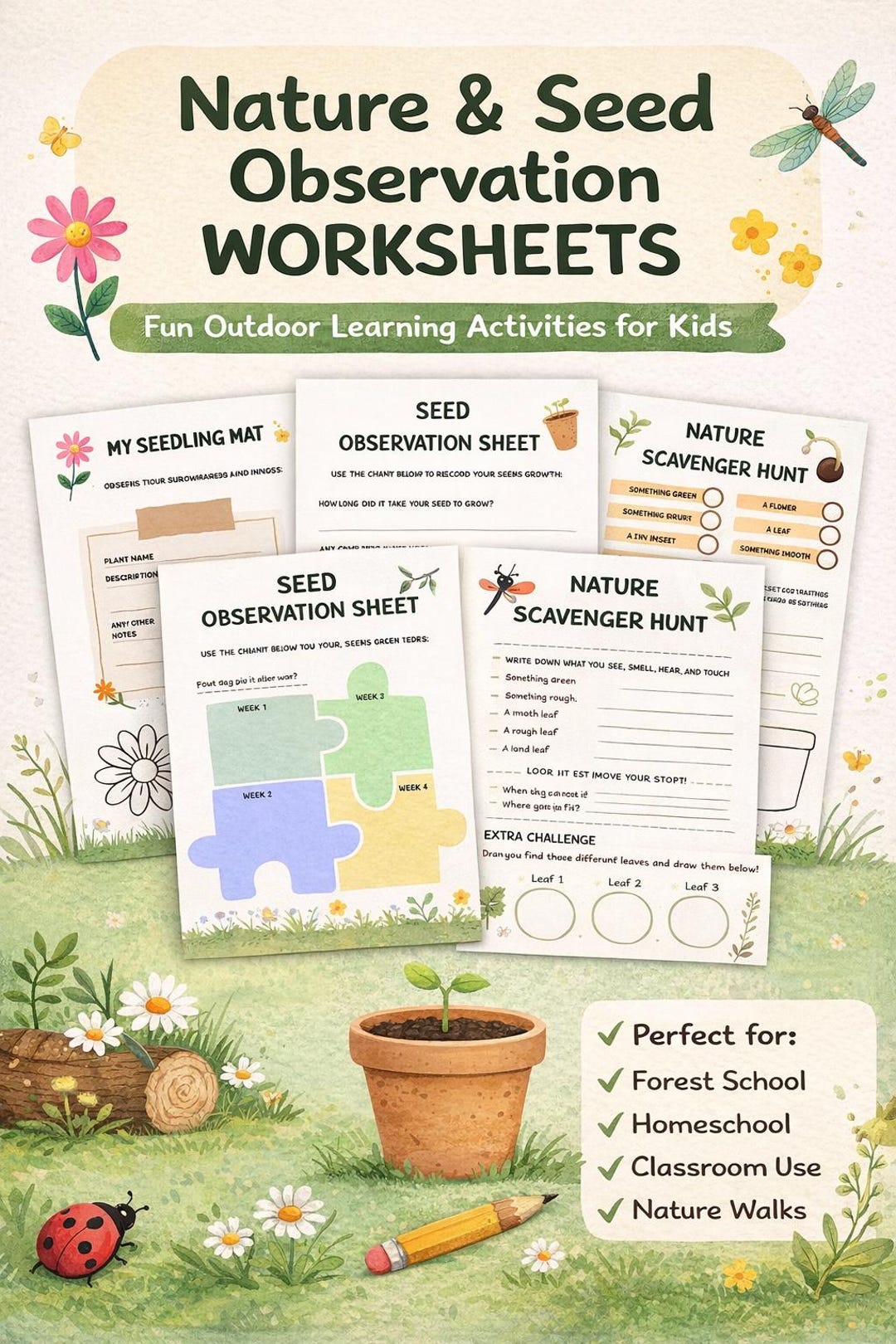 Nature Observation Worksheets for Kids | Plant & Seed Activities ...