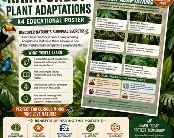 Rainforest Plant Adaptations Photo Infographic | Real Photography Poster | Homeschool Science Print | A4 | Digital Download
