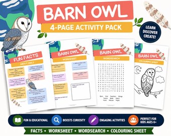 Barn Owl Activity Pack | Nocturnal Animals Worksheets & Fact File | Home Education Science | Ages 5-11