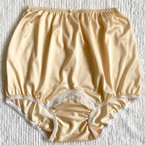 Sheer Silky Nylon Panties 
