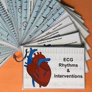EKG Rhythmus und Eingriffe Karteikarten für Krankenschwestern, Krankenpflegeschüler, EMT, Sanitäter, Medizinisch
