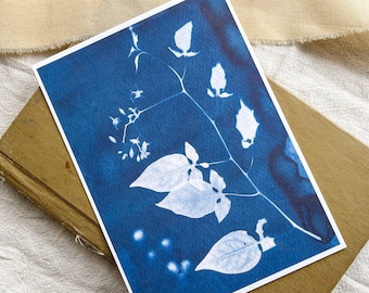 Modern Botanical Wall Art - Nightshade Cyanotype Sun Print Art - Gift Idea for Plant Lady - Cottagecore Decor Gifts