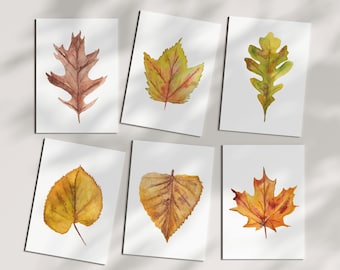 Autumn Leaves Note Card Set of 6 - Fall Note Cards for Thanksgiving - Blank All Occasion Cards - Watercolor Leaf