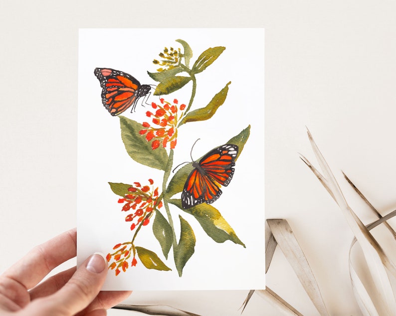 Monarch Butterfly on Milkweed Fine Art Print Wildflower Watercolor Wall Art for Nature Lovers image 6