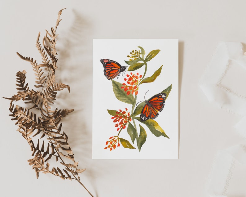 Monarch Butterfly on Milkweed Fine Art Print Wildflower Watercolor Wall Art for Nature Lovers image 7