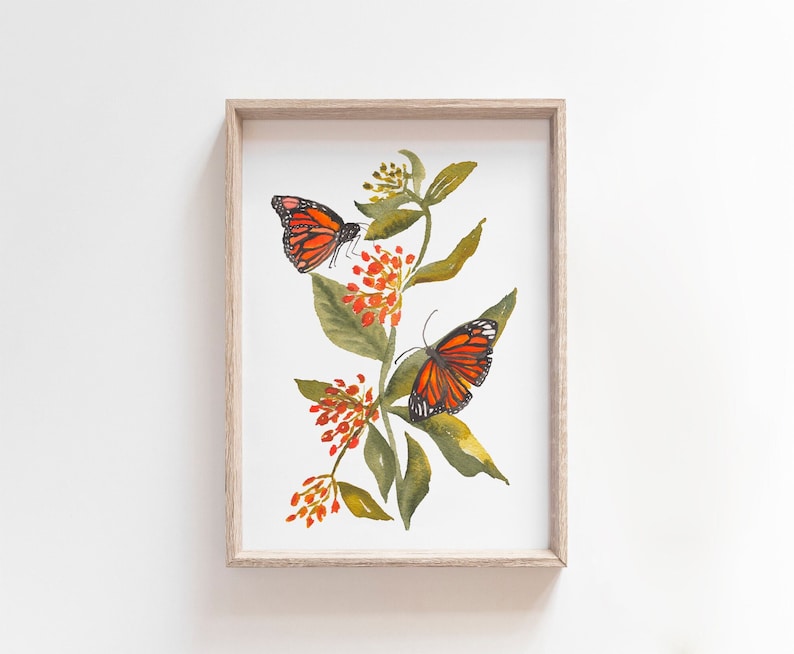 Monarch Butterfly on Milkweed Fine Art Print Wildflower Watercolor Wall Art for Nature Lovers image 1