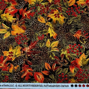 Timeless Treasures Harvest panel & 2 yards of coordinate fabric bundle
