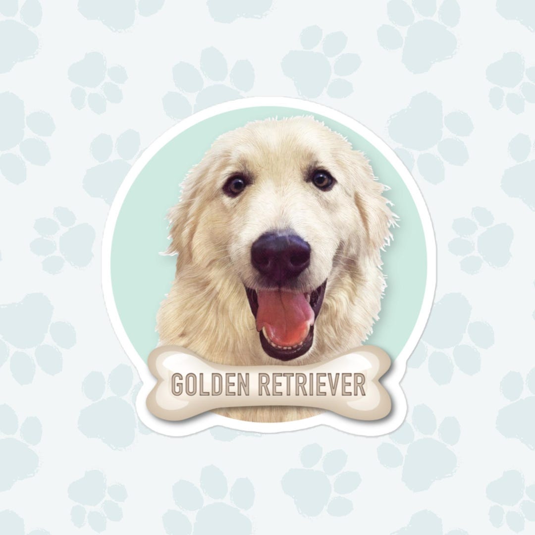 Golden Ririverer Sticker Golden Retriever Sticker, Large 4in Vinyl Sticker - Etsy