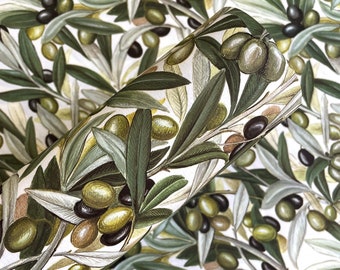 La Oliva