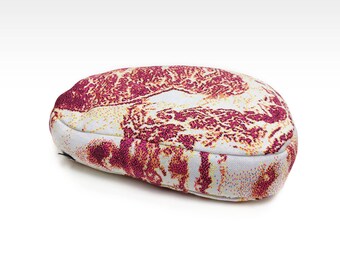 Premium marbled Beef Pillow