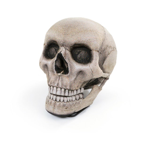 Skull Chair - Free shipping world-wide