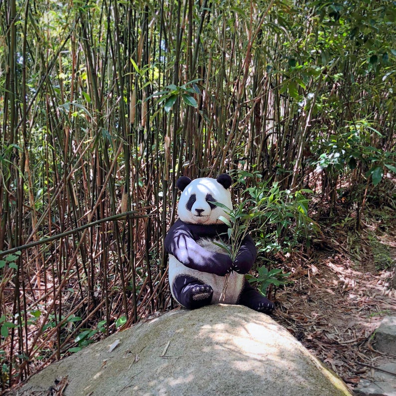 Buy The Naughty Panda Cub Cushion phone Number Must Be Included for