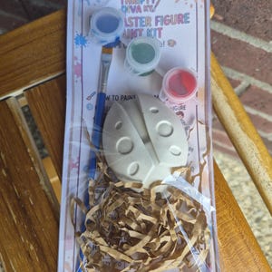 May include: A craft kit in a clear plastic bag containing a white unpainted ladybug figure, a paintbrush, and three small paint pots in blue, green, and red. The kit includes a printed instruction card labeled THRIFTY DIVA KY MASTER FIGURE PAINT KIT.
