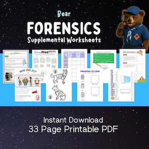 May include: A collection of printable worksheets titled "Bear Forensics" with a detective bear mascot. The worksheets cover topics like fingerprint patterns, substance observations, and detective riddles. The text reads "Instant Download 33 Page Printable PDF."